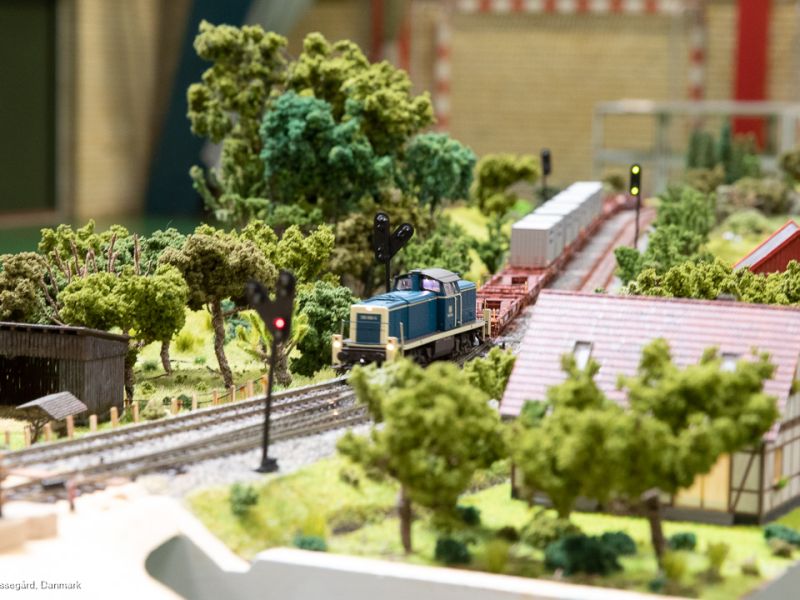 20230604lrw